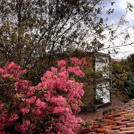 Casa Lloret Cuenca Dış mekan fotoğraf