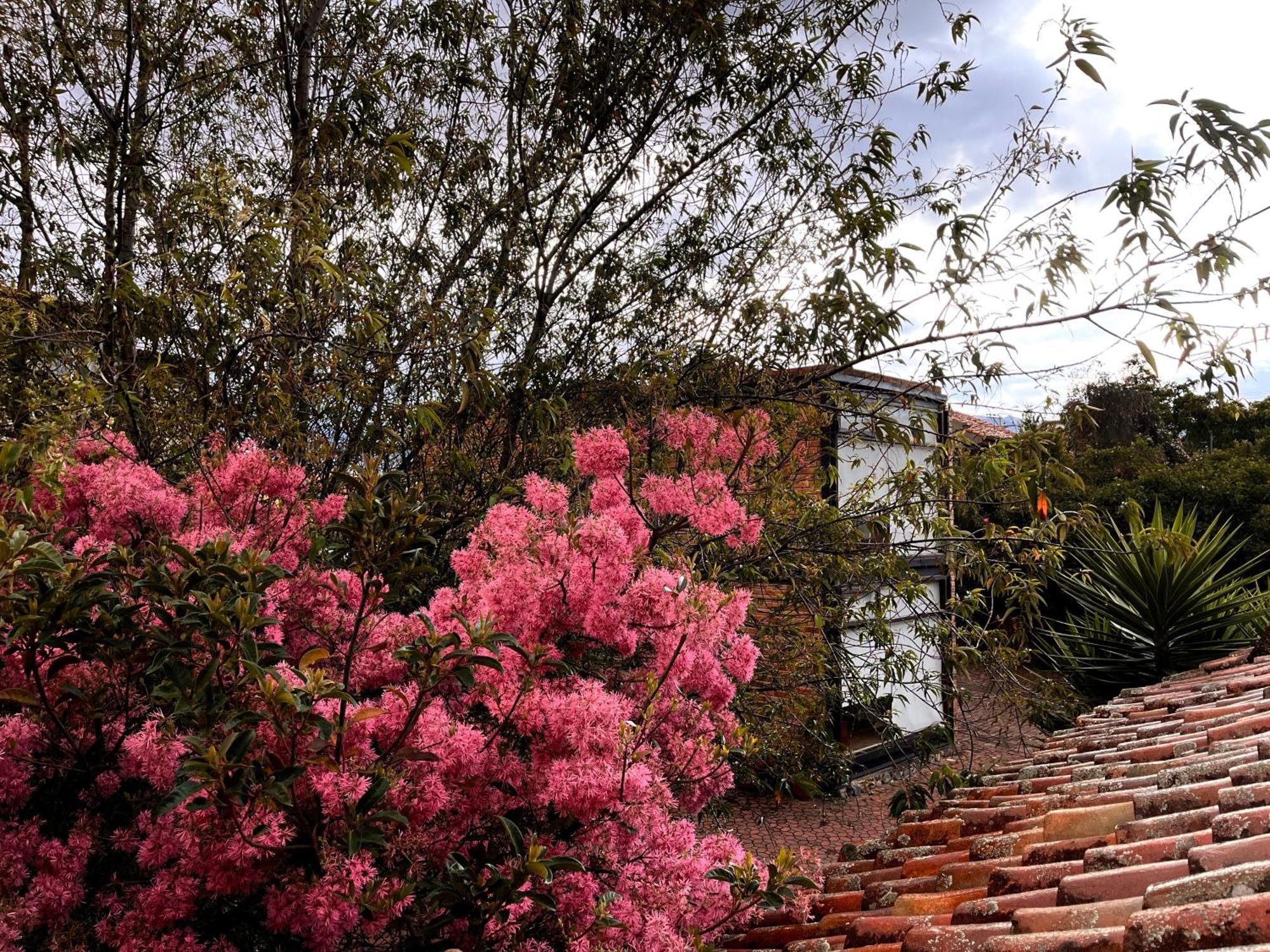 Casa Lloret Cuenca Dış mekan fotoğraf