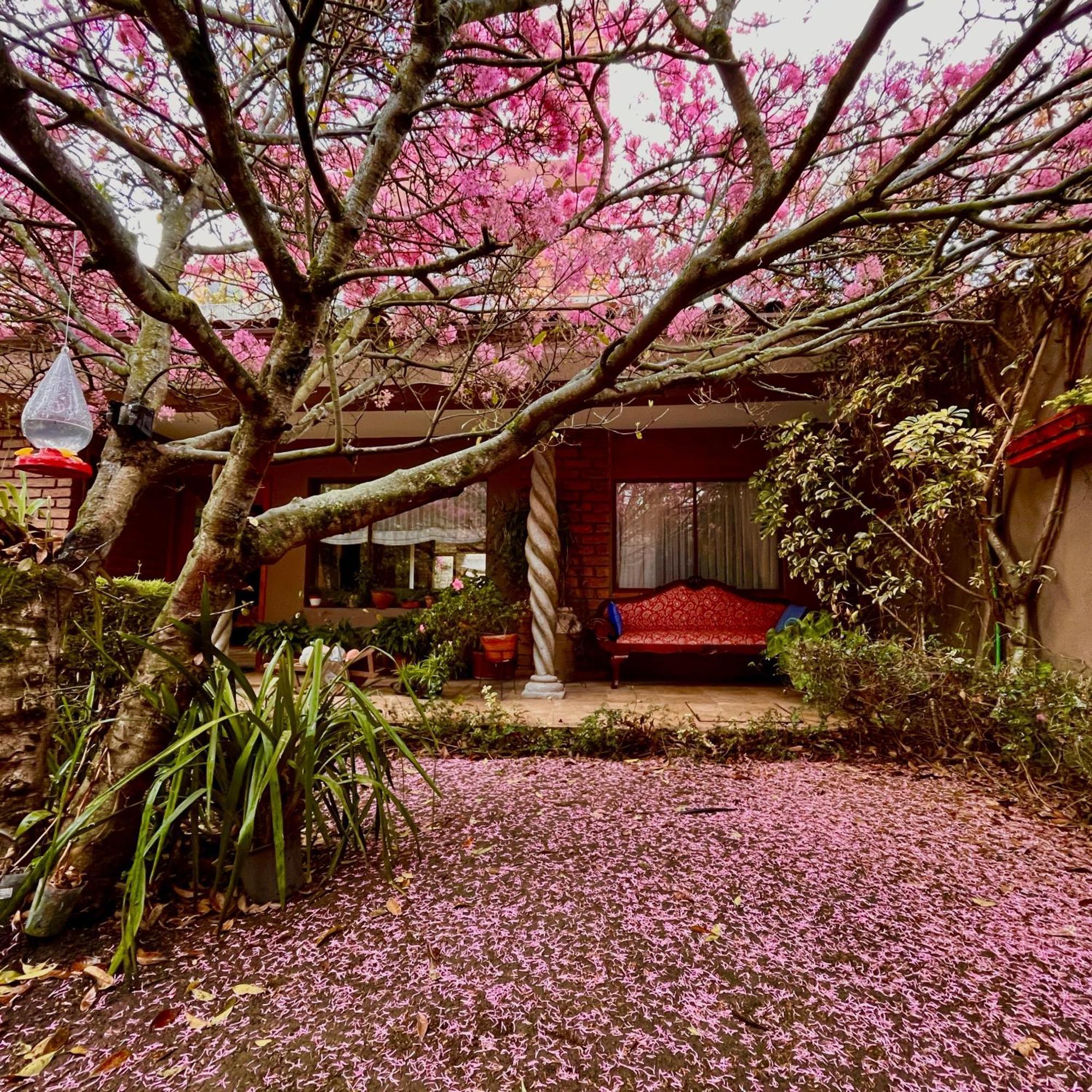 Casa Lloret Cuenca Dış mekan fotoğraf