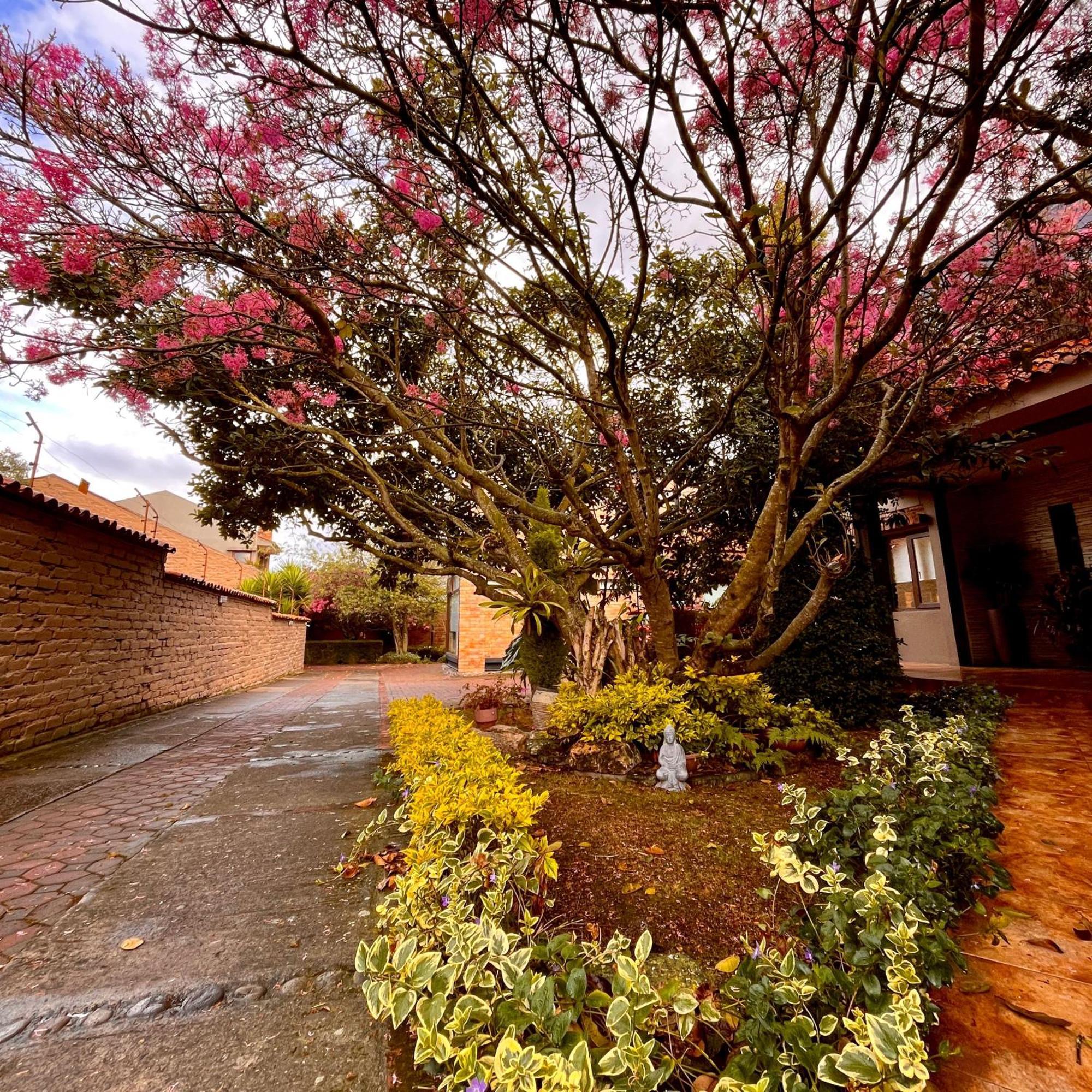 Casa Lloret Cuenca Dış mekan fotoğraf